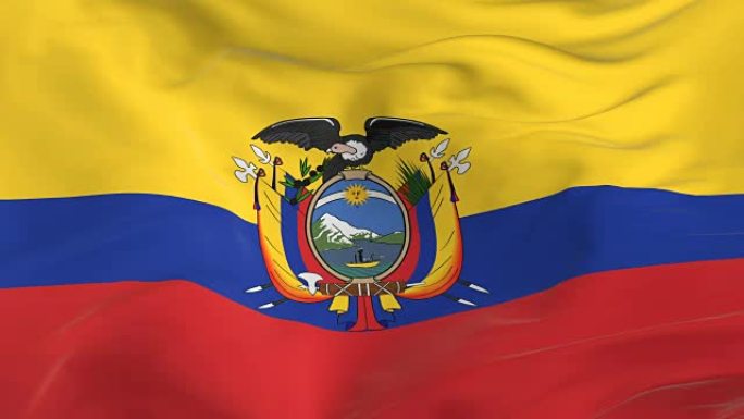 挥舞着环状旗帜作为厄瓜多尔的背景