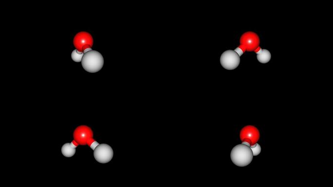 旋转水分子