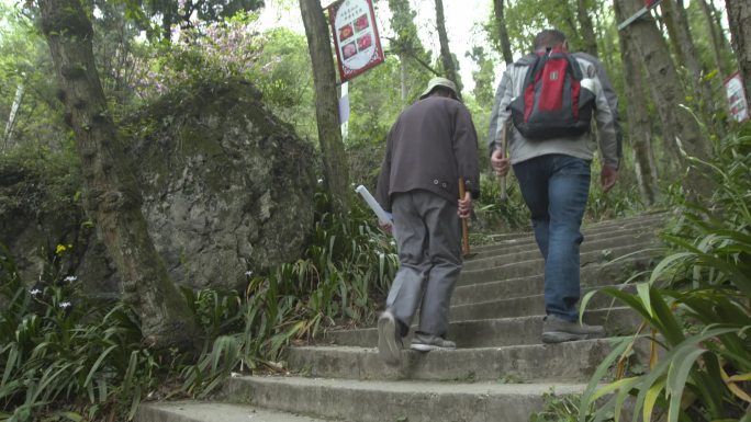 h考察人员进入森林背影