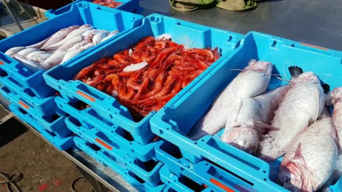 蓝色塑料容器，捕获海鱼，海洋美食。鲜鱼的工业捕捞。批发商和餐馆的鱼拍卖。布兰斯，西班牙，科斯塔布拉瓦