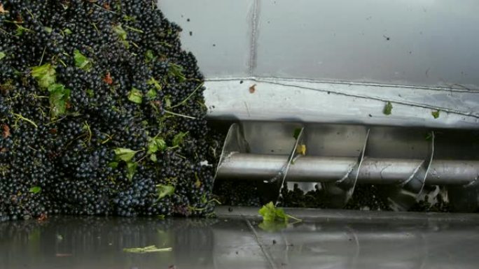 Stemmer破碎机在酿酒厂粉碎葡萄