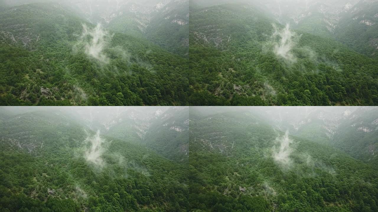 森林中的欧洲乡村房屋上方的黑雾雨云