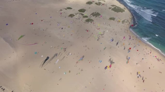 第三十一届国际风筝节，富埃特文图拉2018-11-10