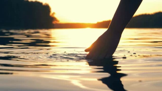 在金色的日落时分，手轻轻地触摸池塘中的水面