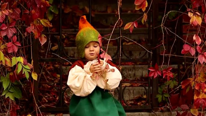 穿着侏儒服装的可爱小女孩在秋天触摸红色植物的叶子