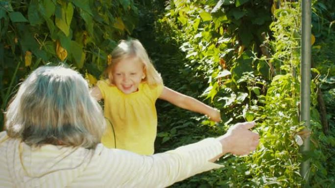 金发小女孩在高高的植物中奔跑，拥抱她的祖母。