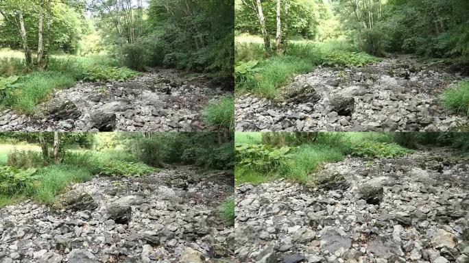 dry Ahrbach (Ahr stream) 在德国vulcan eifel地区的Water D