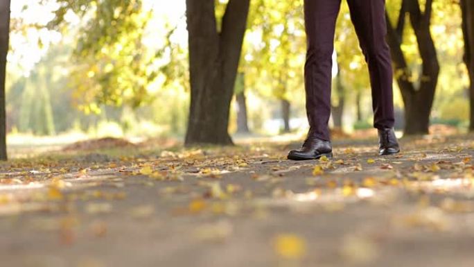 穿着棕色皮鞋的商人在公园的秋叶上行走的特写镜头。