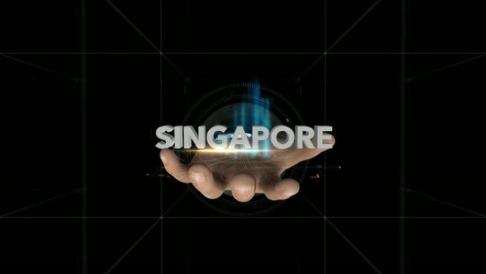 Hand揭示全息图-新加坡