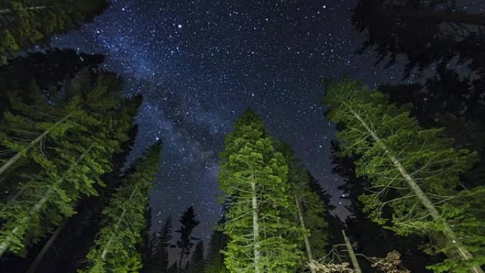 优胜美地国家公园的树木上的银河系夜空时光倒流