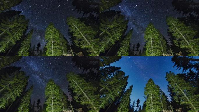 优胜美地国家公园的树木上的银河系夜空时光倒流