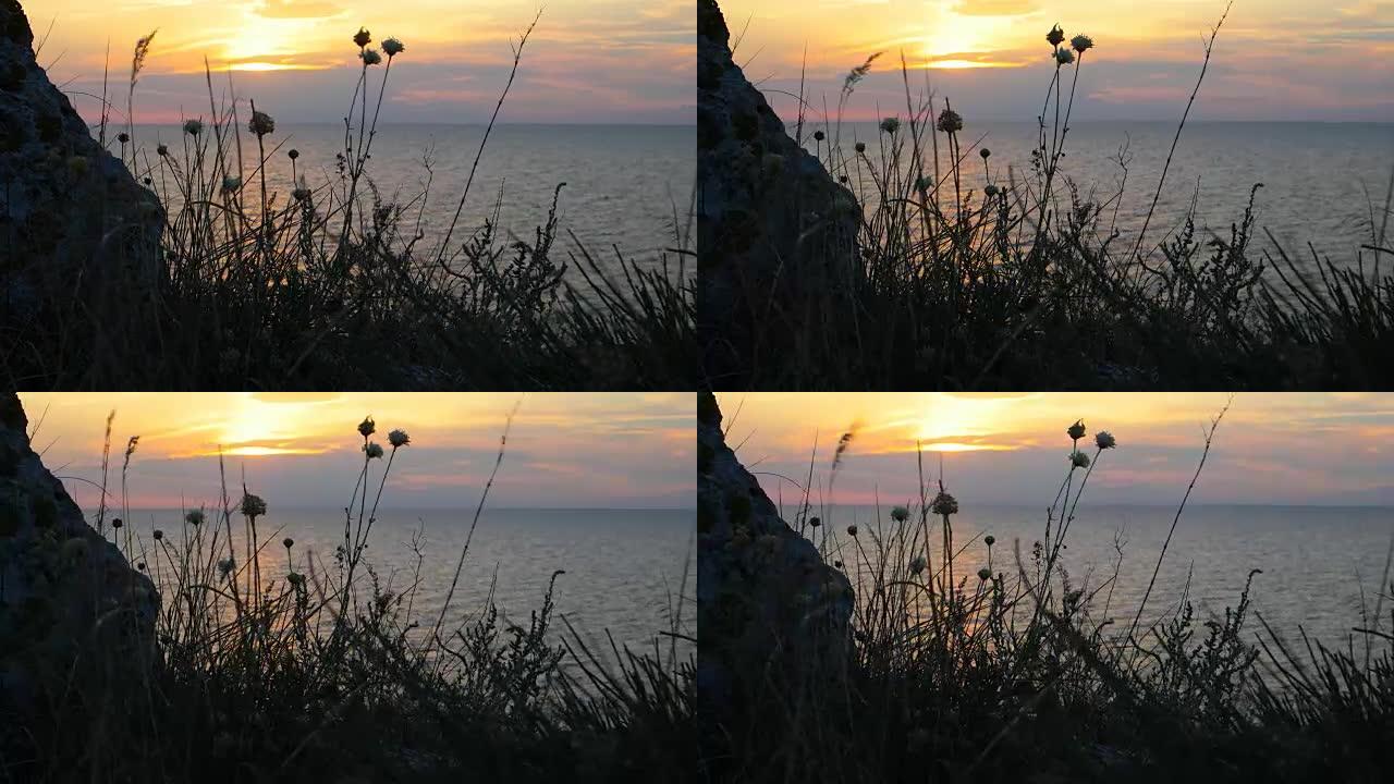 海上田园般的日落。风在美丽的海洋日落的背景下搅动草