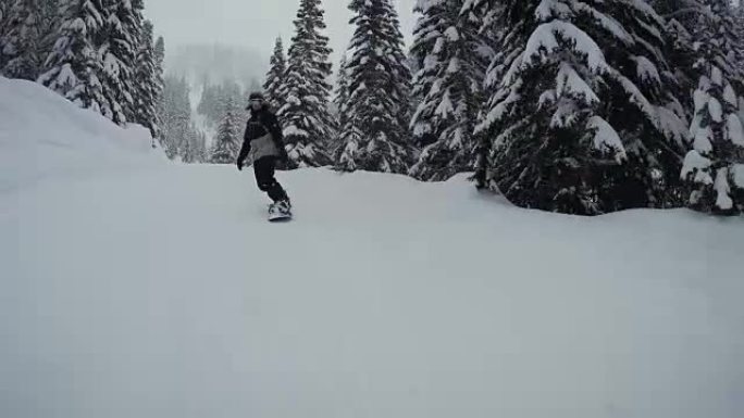 动作凸轮回顾滑雪板骑行度假村