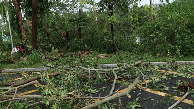 中国超级台风山竹 (Mangkhut)-2018年9月16日后，断树倒下挡住了道路，损坏了