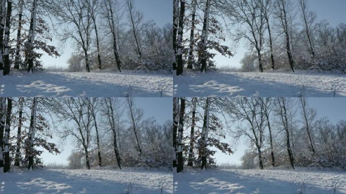 雪下穿过森林的路径4K 2160p 30fps超高清镜头-清晨太阳穿过树枝3840x2160 UHD