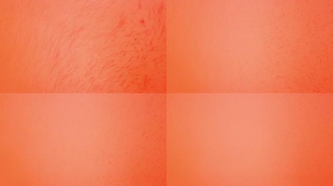 像一滴血一样将红色液体滴入水中