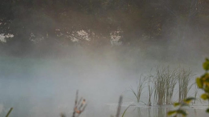 宁静湖上的晨雾河面晨雾视频素材