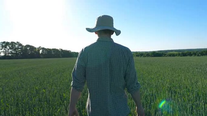 跟随年轻的男性农民在他的农场里走过绿色的麦田。
