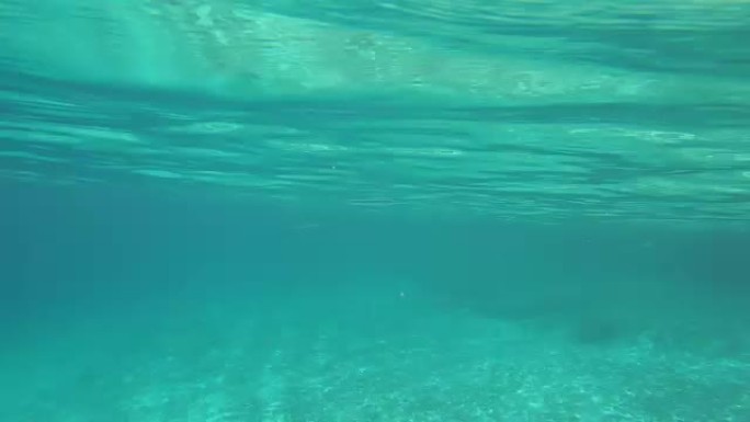 博内尔岛浮潜