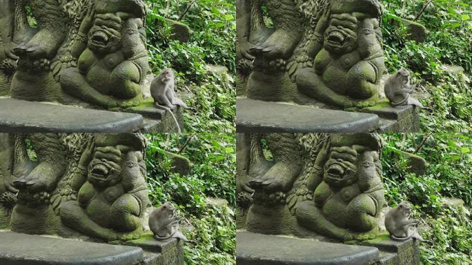 巴厘岛长尾猕猴坐在雕像旁边