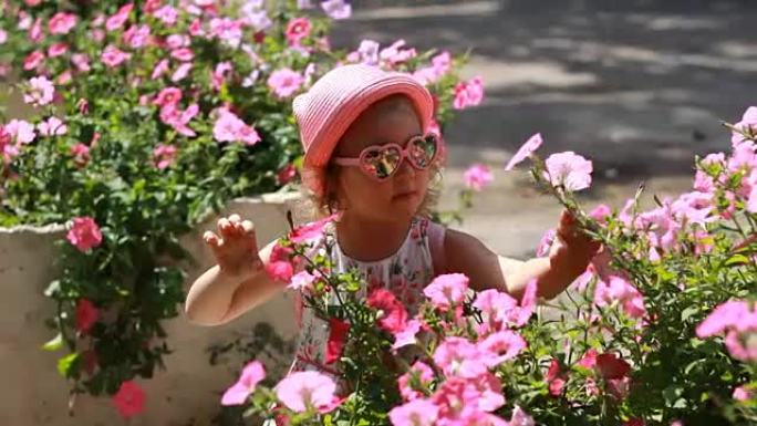 戴着粉红色眼镜和帽子的小女孩嗅着矮牵牛花的香气。夏天，幸福，爱情的概念。