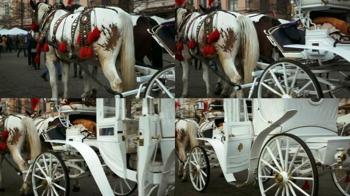 2匹装饰的马附在老式马车上