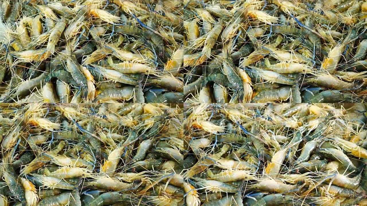 海鲜市场上的海虾。