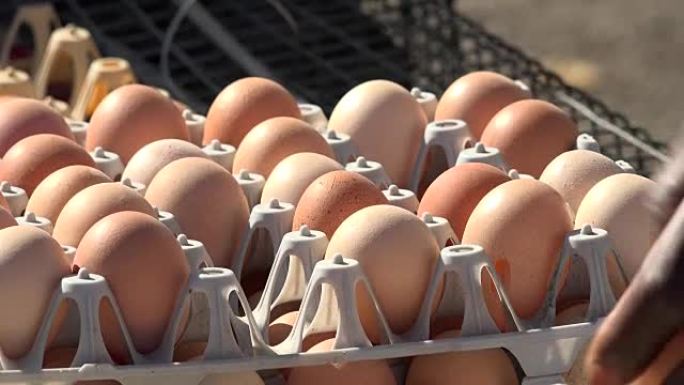 法国市场摊位上的一箱农场鸡蛋