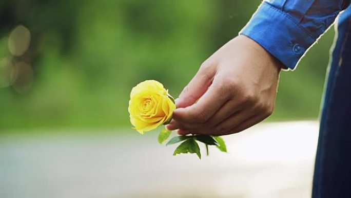 手里拿着黄玫瑰的年轻女子。