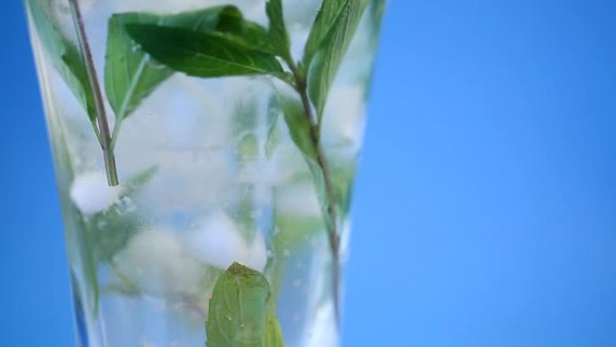 夏季新鲜苹果的甜冷蜜饯和一小枝薄荷