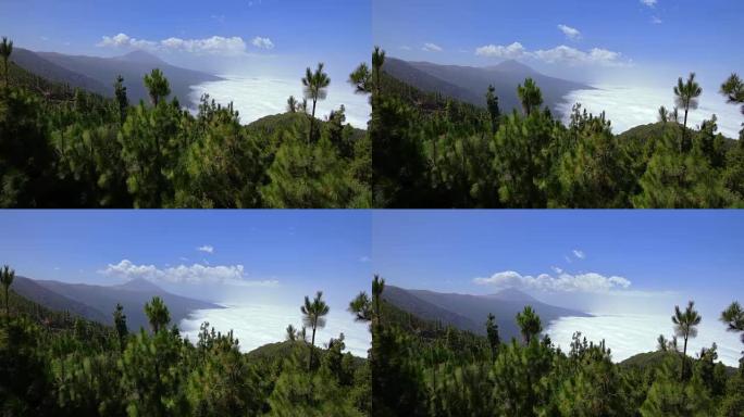 泰德山海云-奇佩克的观光