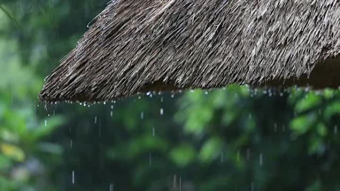 热带夏季雨水落在花园的稻草屋顶上。印度尼西亚巴厘岛