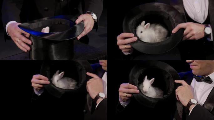 魔术师展示了一只坐在帽子里的兔子