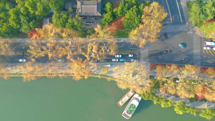 杭州西湖景区北山街树林和汽车航拍