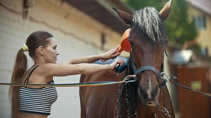 一个年轻漂亮的女人用水清洗马，慢动作