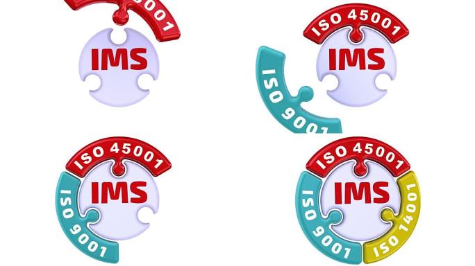 IMS. ISO综合管理系统拼图形式的复选标记
