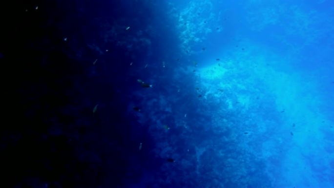 埃及达哈卜在红海潜水