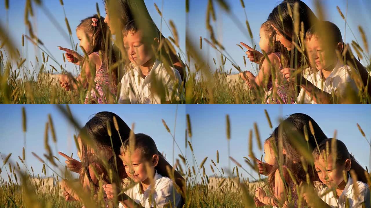 有孩子的亚洲母亲夏天在田间散步，坐在小麦里，家庭观念，前景是农作物