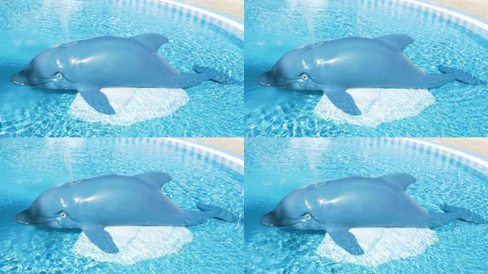 游泳池中的蓝鲸水通过吹洞射水