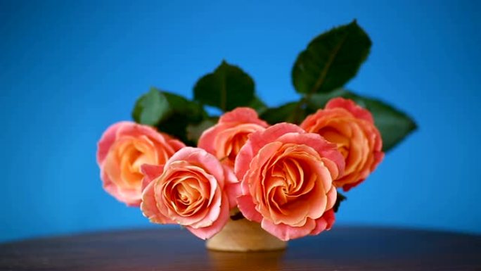 一束美丽的粉红玫瑰孤立在蓝色上