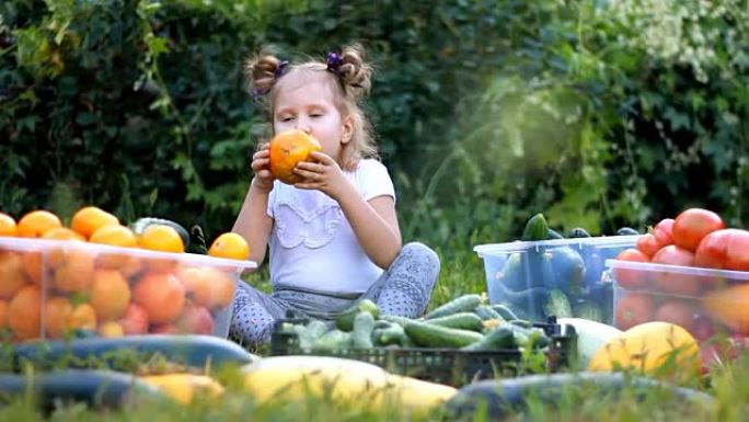 吃蔬菜的小女孩。农业的收获。婴儿是素食主义者。素食。成熟的西红柿，西葫芦和黄瓜