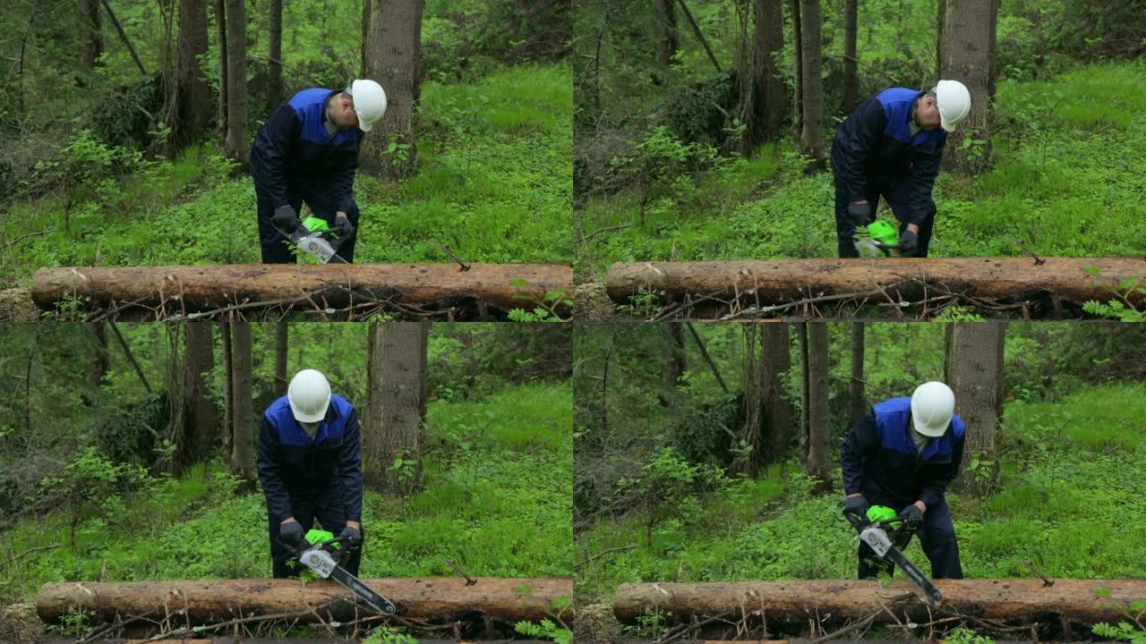 用电锯在森林里工作的人