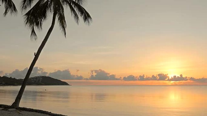 日落时天堂岛上美丽的热带海滩和椰树