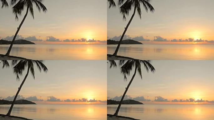 日落时天堂岛上美丽的热带海滩和椰树
