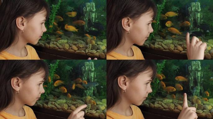 这个女孩正在看水族馆鱼。