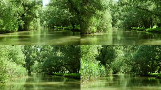 多瑙河三角洲森林湿地运动