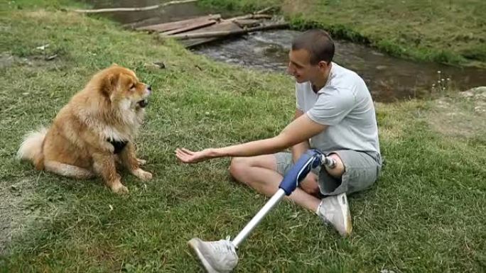 带着狗的残疾人