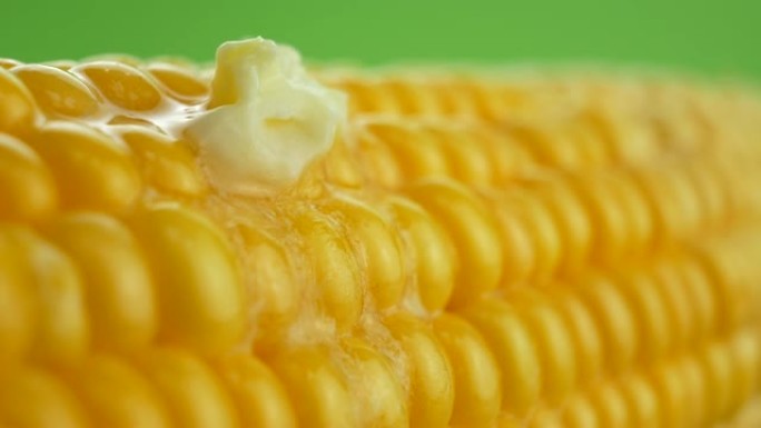 美味的新鲜黄油在绿色背景下的玉米棒上融化在成熟的黄色新鲜玉米上