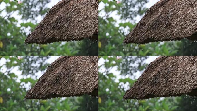 热带夏季雨水落在花园的稻草屋顶上。印度尼西亚巴厘岛