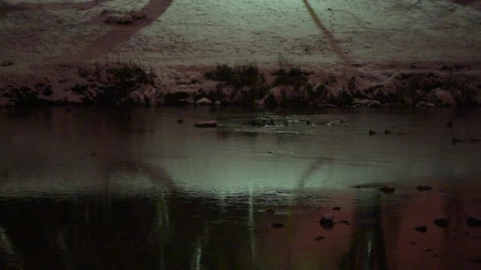 城市河冬夜